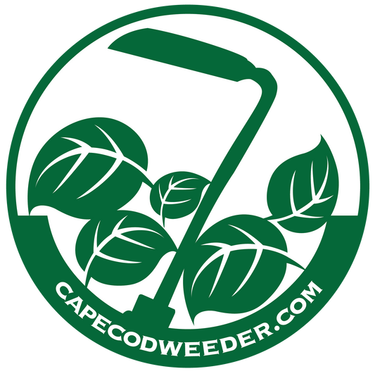 IMPORTANCE OF WEEDING