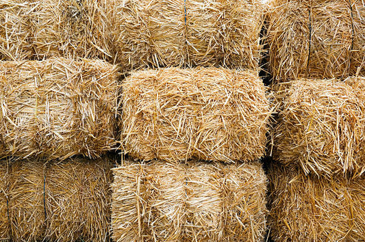 STRAW VS. HAY