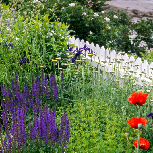 KEEP YOUR GARDEN HEALTHY: